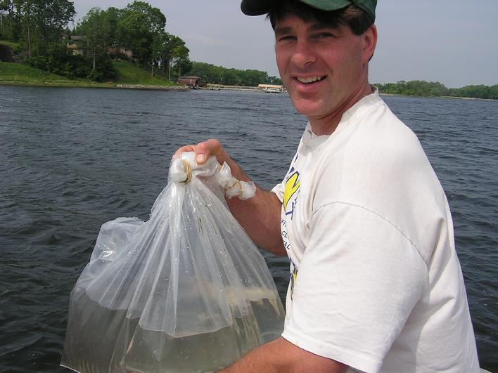 Over 200,000 walleye fry were introduced to lake Sarah in May 2007 thanks to private contributions which totalled a record breaking $2100!